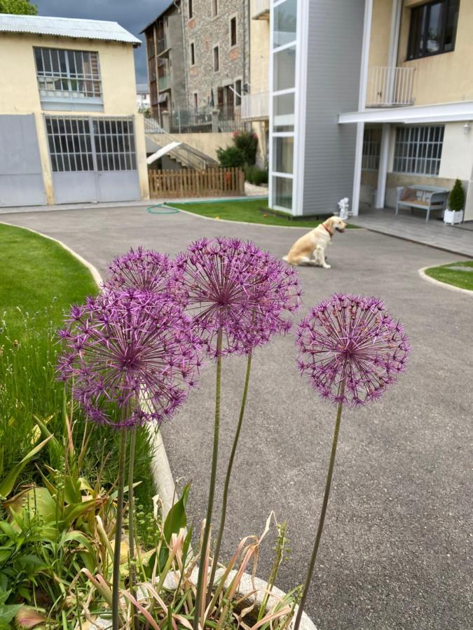 Апартаменти Chez Helene 3 Etoiles, Labellise Disabled Pmr,Pour 4 Personnes Chiens Bienvenus-Pet Friendly Бур-Мадам Екстер'єр фото