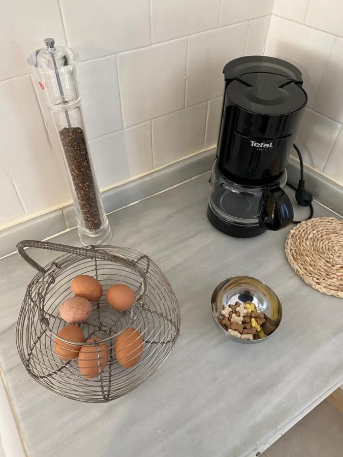 Апартаменти Chez Helene 3 Etoiles, Labellise Disabled Pmr,Pour 4 Personnes Chiens Bienvenus-Pet Friendly Бур-Мадам Екстер'єр фото